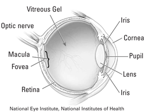 macular-pucker